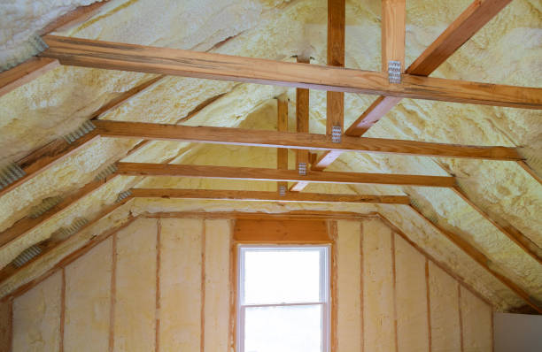 Best Spray Foam Insulation  in Dallas, NC