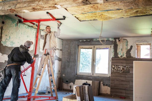Best Best Insulation Companies  in Dallas, NC