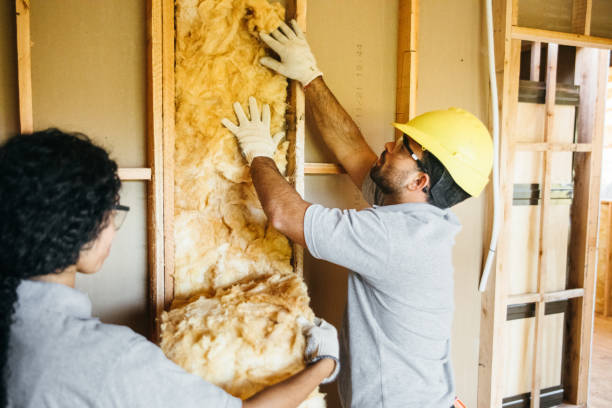 Best Best Insulation Companies  in Dallas, NC