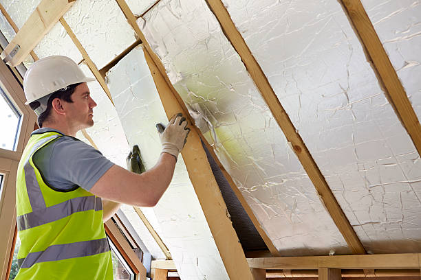 Best Local Insulation Services  in Dallas, NC